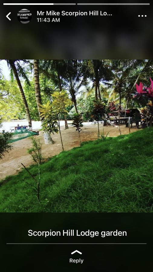 Scorpion Hill Lodge Busua ภายนอก รูปภาพ