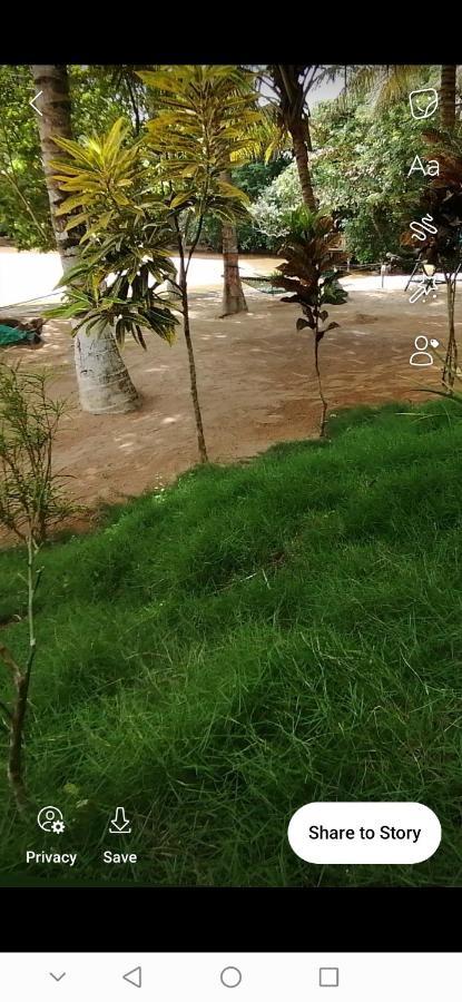 Scorpion Hill Lodge Busua ภายนอก รูปภาพ