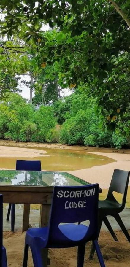 Scorpion Hill Lodge Busua ภายนอก รูปภาพ