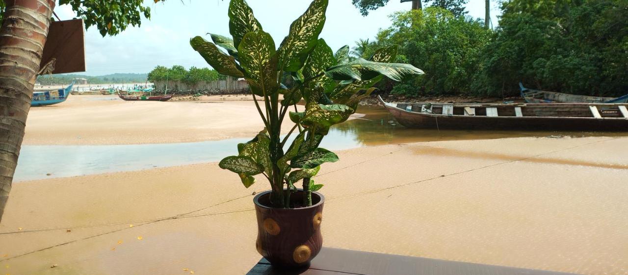 Scorpion Hill Lodge Busua ห้อง รูปภาพ