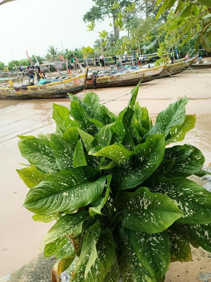 Scorpion Hill Lodge Busua ภายนอก รูปภาพ