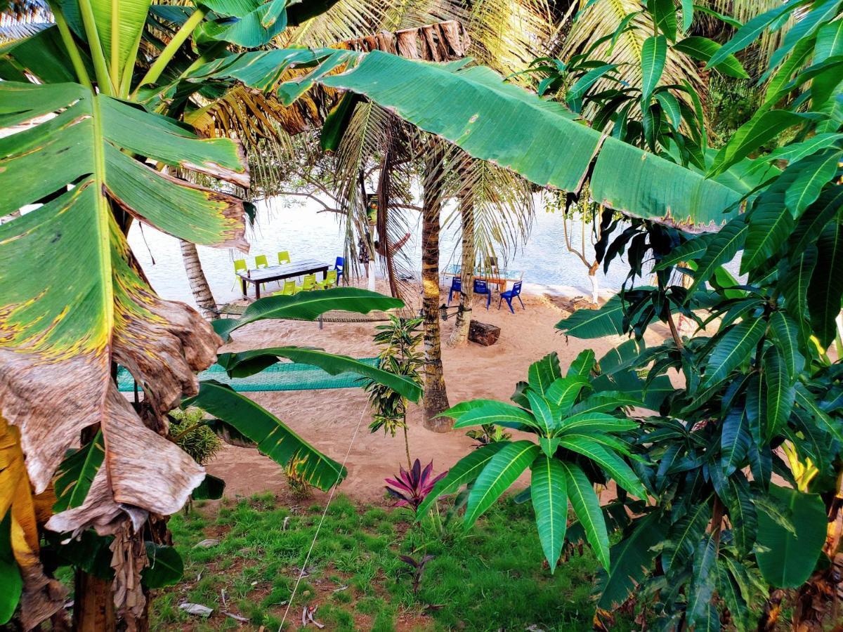 Scorpion Hill Lodge Busua ภายนอก รูปภาพ