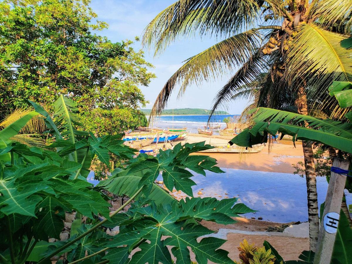 Scorpion Hill Lodge Busua ภายนอก รูปภาพ